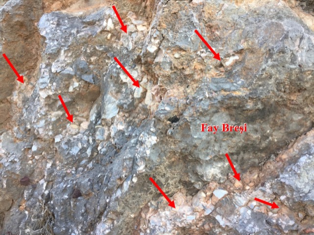 Araştırma Sahası Çalışmaları — 8